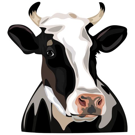 cow vector images|free clip art images cows.